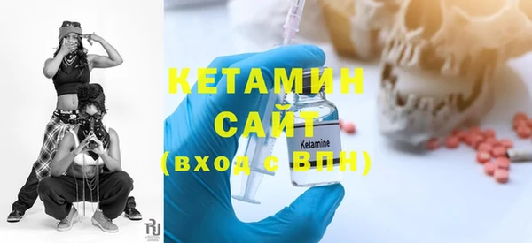 сатива Новодвинск