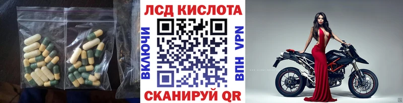 купить наркоту  Нестеров  ЛСД экстази ecstasy 